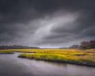 USA, New Jersey, Pine Barrens National Preserve. Storm over marsh and forest landscape. Art Print